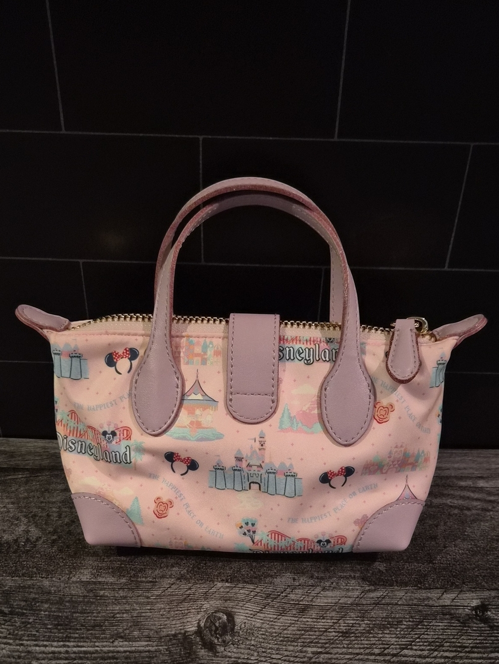 Disney x Stoney Clover Lane "The Happiest Place on Earth" Mini Tote - Picture 2 of 6